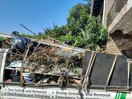 Best Shed Removal  in Rigby, ID