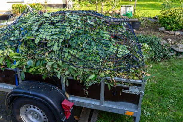 Best Carpet Removal and Disposal  in Rigby, ID